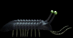 Trilobite