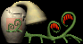 Mossvine